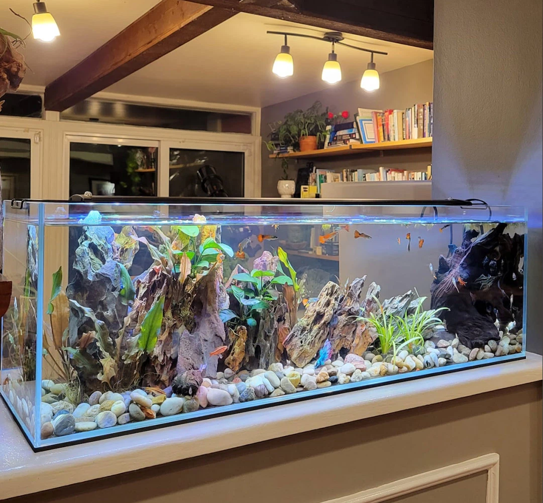 acrylic aquariums stand acrylic aquariums stand